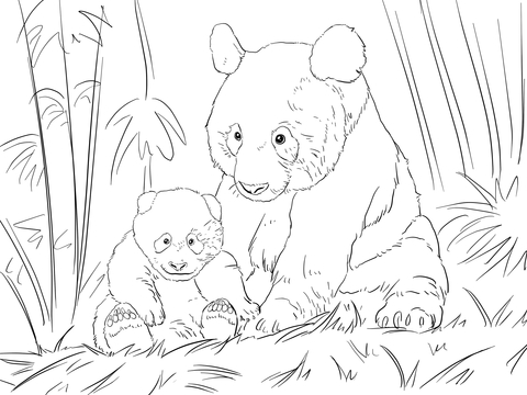 Cute Panda Family Coloring Page